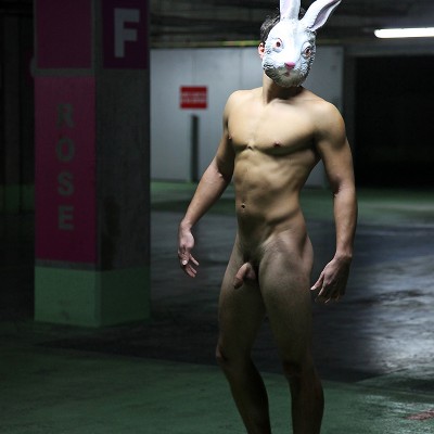   Naked Rabbits  